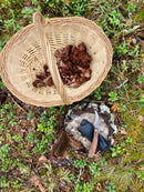 Sieniveitsi (kaiverruksella)