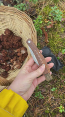 Sieniveitsi (kaiverruksella)